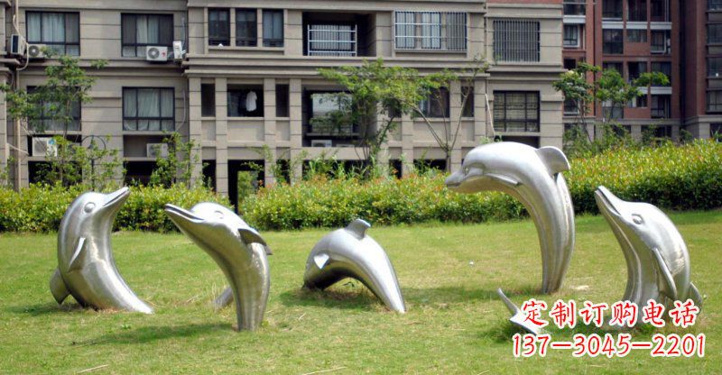 黑龙江海豚的浪漫